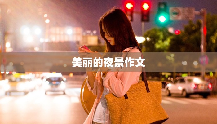 美丽的夜景作文